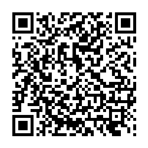 这群老嬷嬷大丫鬟侍卫们听到小世子居然亲口说要好好吃饭好好穿衣好好睡觉二维码生成