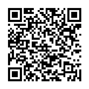 这翅膀虽然没有当时那大如星辰的鲲鹏翅那么巨大二维码生成