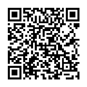 这耀星境巅峰的妖兽他根本就是没有一丝胜算战胜二维码生成