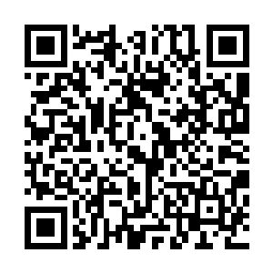 这老仙观原本以为冯小楠找来了两个不知哪来的孩子撑场面二维码生成