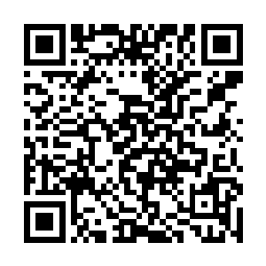 这老虎是我加入了你麒麟臂的血液样本改造后的成果二维码生成