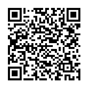 这股突如其来的海量灵力他么的绝对不会是好事啊二维码生成