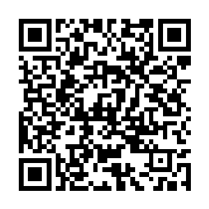 这胖子竟然能够轻而易举的再次提前预判提前闪躲二维码生成