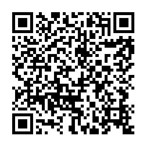 这能够将织炎噬血丹炼制出来而且年纪还不到二十岁的男子究竟是谁呢二维码生成