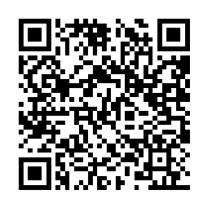 这般宏伟得让人激动的护山大阵建立起来并不困难二维码生成