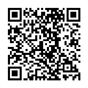 这般折腾我们三个小辈是不是也有些丢了前辈你的脸啊二维码生成