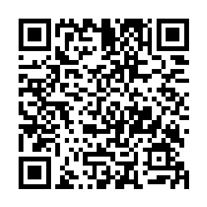 这芭蕉扇中的力量却还是能够支撑它发起几次猛烈攻击的二维码生成
