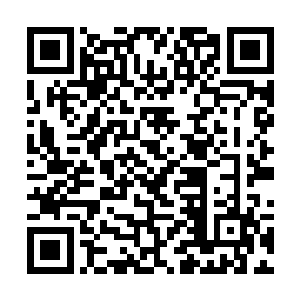 这荒天棍的级别应该已经达到了阎罗天之枪那种层次二维码生成