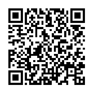 这虚拟形态的火焰竟然是凭蛮力一击将自己给震退了二维码生成