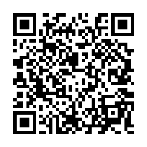 这蛇神使显然也是没料到林封谨会问这个问题出来二维码生成