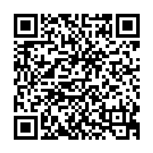 这血水蛭甚至是令好几名鼎鼎大名的人物哀号三天三夜才死啊二维码生成