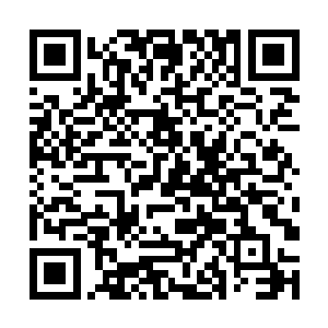 这血符却是用来保护他们不受这些妖藤攻击的护身符二维码生成