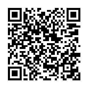 这衣裳里一针一线都缝进了先生对你浓浓的爱护之情啊二维码生成