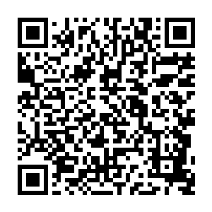 这要不是你在台里根子硬……不过下一届绝对不能把跨年歌会的导演再给他了二维码生成