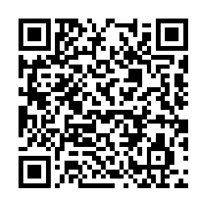 这要经历什么样训练才能到达这样随心所欲的程度二维码生成