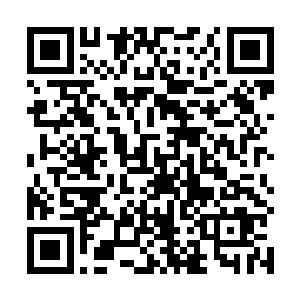 这让他们天机的能力在未来的主母面前打了个折扣了嘛二维码生成