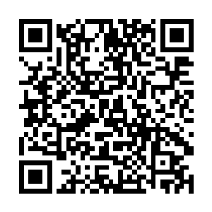 这让他又找到了最初开始特训被摔得遍体鳞伤的感觉二维码生成