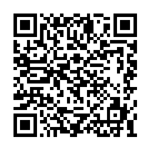 这让他微微有些失望――看来是被这小子给玩了二维码生成