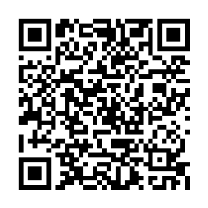 这让佩图霍夫家族的上层人物都感到非常的愤怒二维码生成