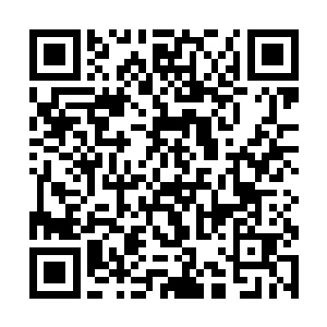 这让原本只是单纯的看不下去朱颜犯蠢而让事情继续二维码生成