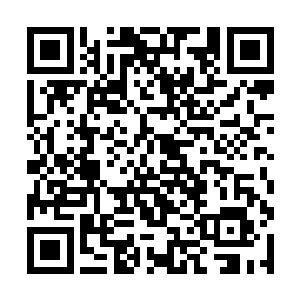 这让吴虎臣欣喜之余也在幻想着引龙决更后面的变化二维码生成