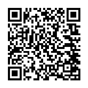 这让孩子们的心中的强弱世界发生了翻天覆地的变化二维码生成