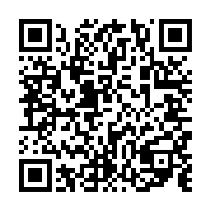 这让数十年前就已威名远播的南宫远望哪还有分毫面子二维码生成