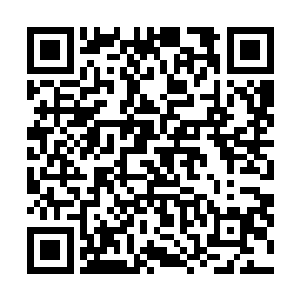 这让李思辰通过闻气辨位确定尸臭源头方向的打算落了空二维码生成