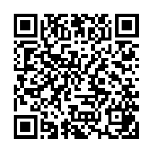 这让杨开不由想起了他花费一千万开天丹拍来的玉珏二维码生成