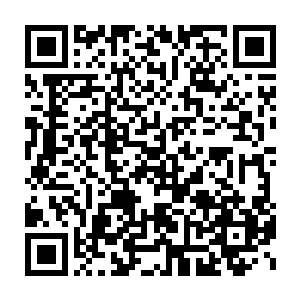 这让的少年不得不提着大龙刀硬碰硬的和闪烁的光的大剑对峙在一起二维码生成