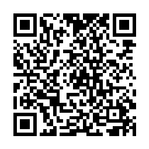 这让看过柜台一排竹签上所有菜价的徐凤年陷入沉思二维码生成