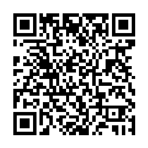 这让那些上次没参加玄门大会的人全都大为叹息后悔二维码生成