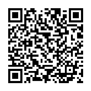 这话却是源于洛家非得要张潇晗做少主夫人的事情了二维码生成