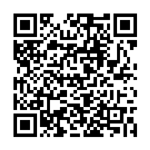 这话是不是证明女主角蕾伊也是天行者家族的一员二维码生成