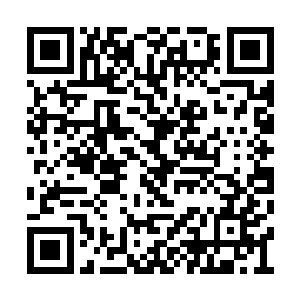 这说不定他是被你那张凶神恶煞的大脸给吓到了二维码生成