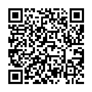 这说不定是前朝或者前前朝灭国时将一大笔财富藏了起来二维码生成
