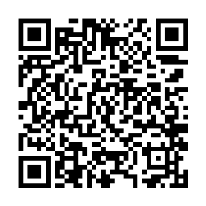 这说明五年前邵康还没法挑选出剩下两块毛料的时候二维码生成