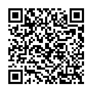 这说明小少爷他对那个王诗雅一点好感都没有啊二维码生成