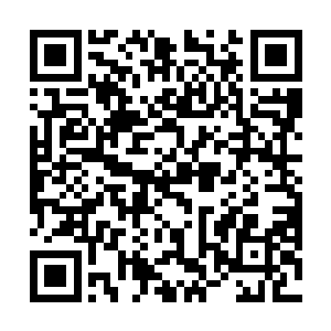 这说明这些叛军还没有来得及把消息通知给叛军指挥部二维码生成
