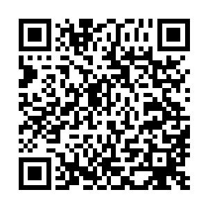 这说的我们的欢喜哥恨不得现在立刻就再次加入这一计划了二维码生成