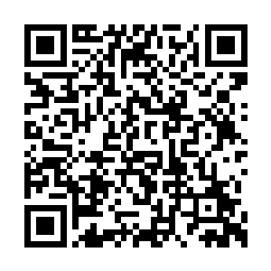 这货比我还浮夸……孟奇鄙夷地看了楚云羽一眼二维码生成