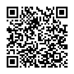 这贱人用如此恶劣的方法炼出来的内丹居然是上品的二维码生成