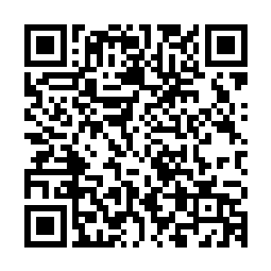 这赤蛟好像对这么长时间依旧没有将这两个小虫子拿下很是生气二维码生成