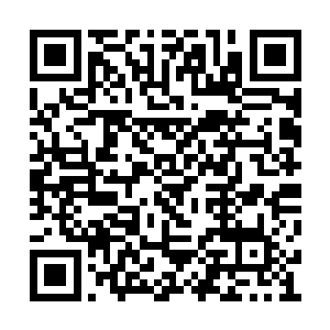 这赤龙内丹也就是能够在天火区域充当护身法宝二维码生成