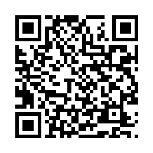 这赫然是yu蕾国际在欧洲的公司主页二维码生成