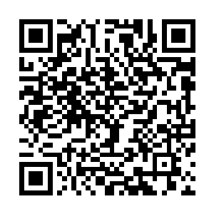 这跟波塞希从秦方的水系奥义中猜测出的一些东西有关……二维码生成