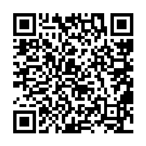 这跟那墨蝰藤一株老根上只长出四条藤茎是有关联的二维码生成