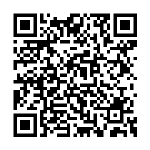 这跟那道德宫秘境和太古火凤的翎羽有什么关系二维码生成