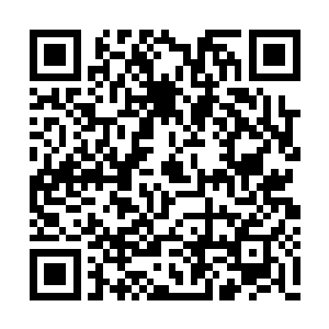 这辈子怕是都要停留在上品武皇后期巅峰的境界二维码生成