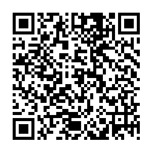 这边可不想因为一点争夺彩头的事情而影响了这次鉴宝大会最主要的事情二维码生成